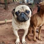 560065813_806442655343643_5544656401552119206_n