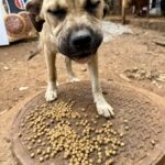 560199474_806441855343723_207389428821911925_n