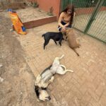 562982193_806441942010381_3291170424043291202_n